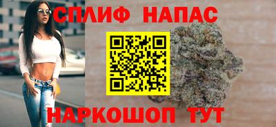 прущие грибы Малгобек