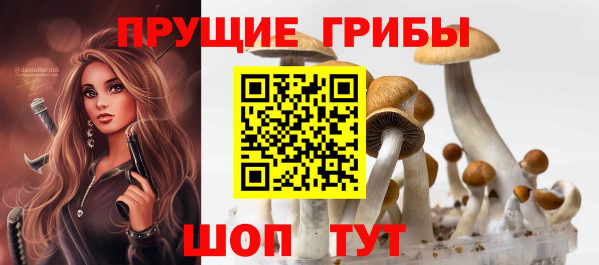 Галлюциногенные грибы прущие грибы  Вход с VPN  Зима  Псилоцибиновые грибы GOLDEN TEACHER 